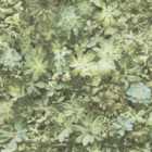 Galerie Evergreen Succulent Plant Green Wallpaper