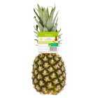Supersweet Large Pineapple